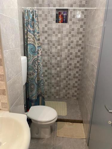 a small bathroom with a toilet and a shower at Sun Apartment in Tivat