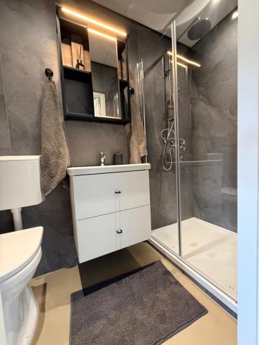 a bathroom with a shower and a sink and a toilet at B&B Goeje Morge in Ammerzoden