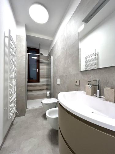 a bathroom with a sink and a toilet at Lake and Rocca Suite in Angera