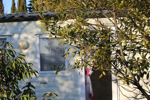 Φωτογραφία από το άλμπουμ του Camping Le Dolium σε Laudun