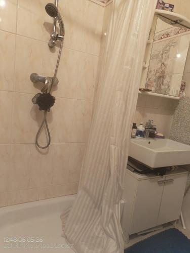 a shower curtain in a bathroom with a sink at Chez Carolayn in Geneva