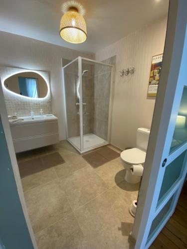 a bathroom with a shower and a toilet at La TULIPE SAUVAGE in Bourdeaux