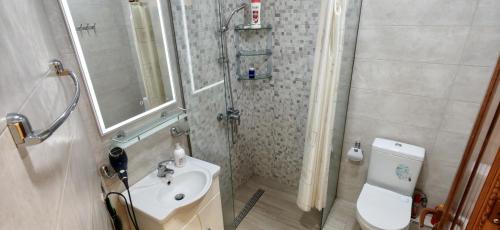 a bathroom with a sink and a shower and a toilet at H apartment in Yerevan