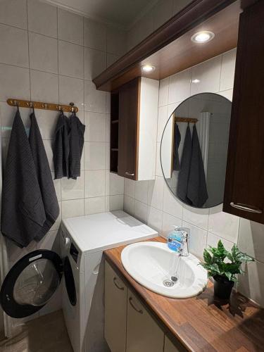 a bathroom with a sink and a washing machine at Seminaari Hill Suite in Jyväskylä