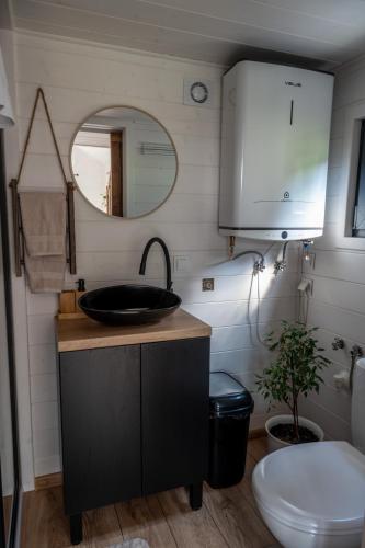 a bathroom with a sink and a toilet at Na samote u Noemi in Komjatná