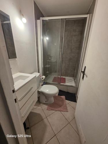 a bathroom with a shower and a toilet and a sink at PR001 3 chambres in Le Blanc-Mesnil