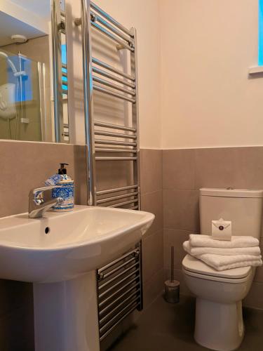 a bathroom with a sink and a toilet at 105 beach lodge millendreath in Looe
