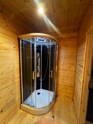 a sauna with a glass shower in a wooden room at Tinyhaus auf dem Forsthof in Trinwillershagen