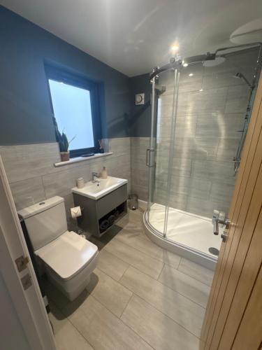 a bathroom with a toilet and a shower and a sink at Riverside Lodge in Creech Saint Michael