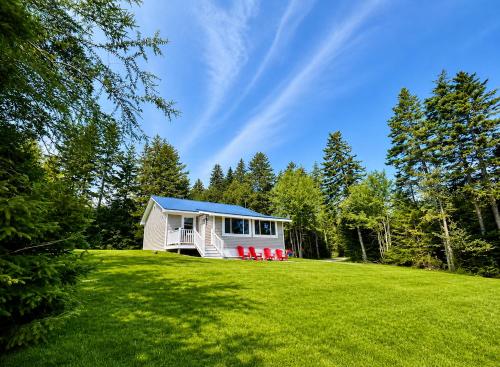 a tiny house on a grassy hill with trees at Oceanfront Cottage on Private Island in Milbridge