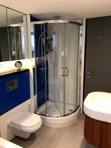 a bathroom with a shower and a toilet and a sink at The Seahorse Torbay in Torquay