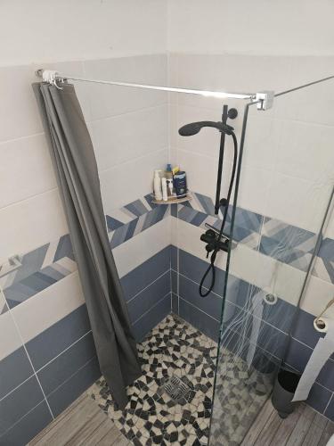 a bathroom with a shower with blue and white tiles at Kaz a kann là in Petit-Canal