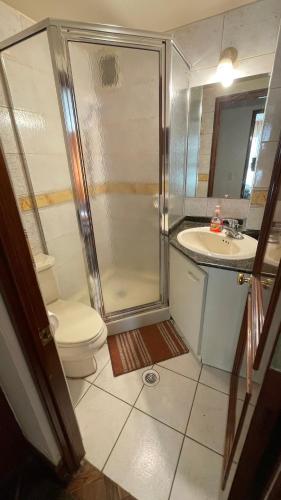 a bathroom with a shower and a toilet and a sink at Muy cerca, a pasos de la Embajada de EEUU in La Paz