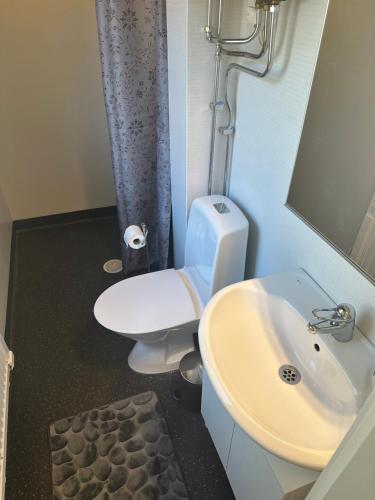 a bathroom with a toilet and a sink at Premium Stuga, Near Göta Canal & Tiveden National Park in Undenäs