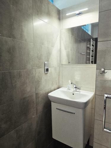 a bathroom with a sink and a mirror at Dominikana Apartament 41b in Sianozety