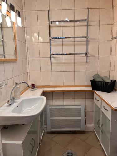 a bathroom with a sink and a mirror and a window at Haus Talruhe in Kurort Altenberg