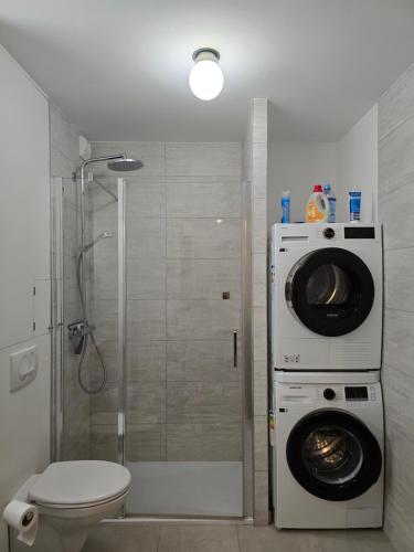 a bathroom with a shower and a washing machine at Perle de Savoie Free multipass offer for 4 guests in Châtel
