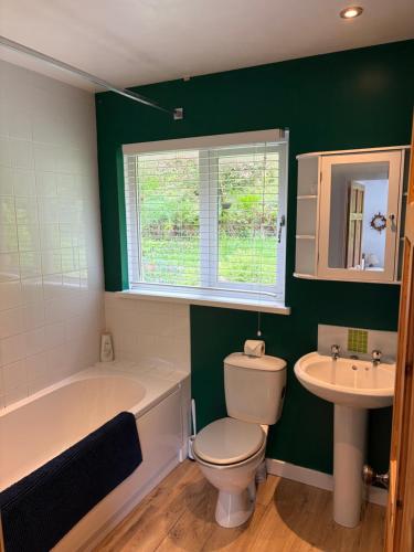 a bathroom with a tub and a toilet and a sink at Glanafon in Abergorlech