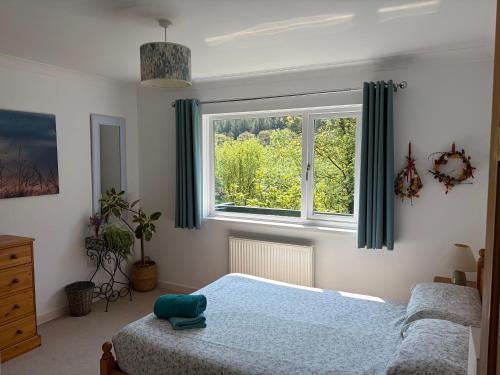 a bedroom with a bed and a large window at Glanafon in Abergorlech