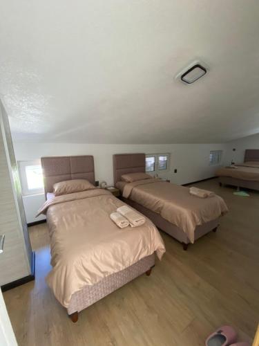 a bedroom with two beds and a couch at Blue Nest in Plav