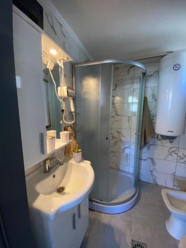 a bathroom with a shower and a sink and a toilet at Blue Nest in Plav