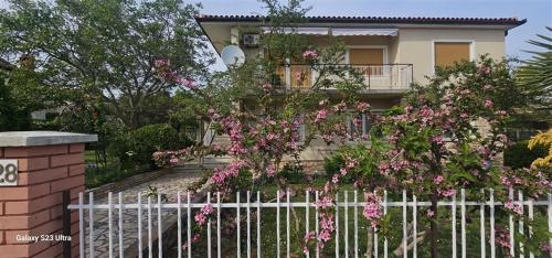 Apartment Passiflora