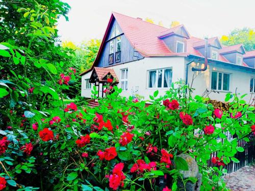 Apartament willa Radosna
