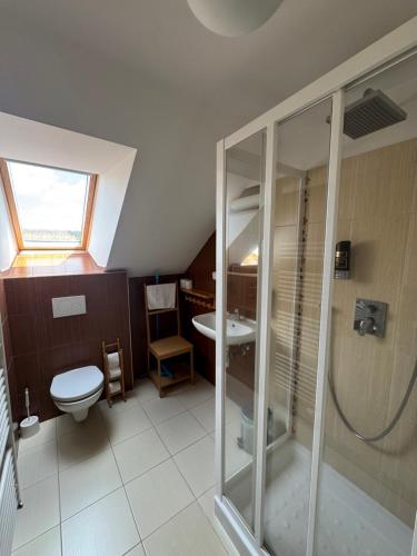 a bathroom with a shower and a toilet and a sink at Penzion U Peňázů in Tři Studně
