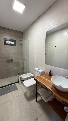 a bathroom with a sink and a toilet and a mirror at Terracampo Apart in Ciudad Lujan de Cuyo