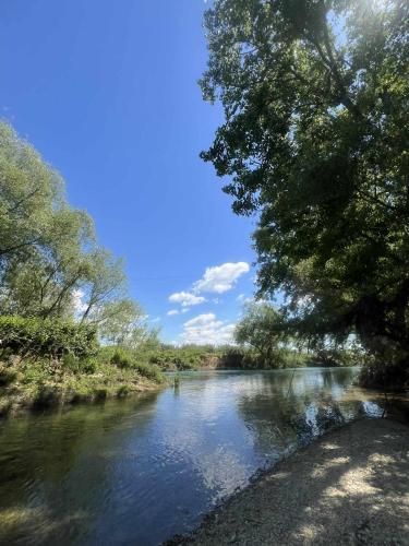 a river with trees on the side of it at Damiano House in Sarandë