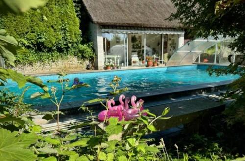 a swimming pool in front of a house at Skovgaardsvej 7 in Udby