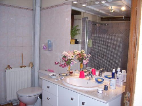 Maison d'Hôtes Les Après في بيليم: حمام مع حوض ومرحاض ومرآة