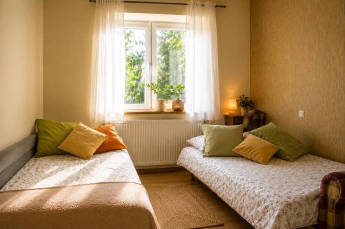 two beds sitting in a room with a window at Leśne Zacisze in Iława