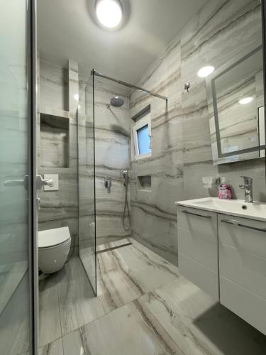 a bathroom with a shower and a toilet and a sink at Apartments Ali in Ulcinj