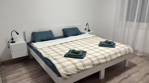 Apartment Višnja