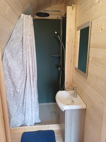 a bathroom with a sink and a toilet and a shower at Houx POD in Saint-Racho