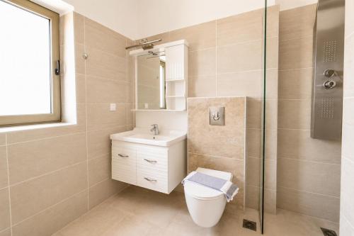 a bathroom with a toilet and a sink and a shower at Villa Castillo Thio in Agios Nikolaos
