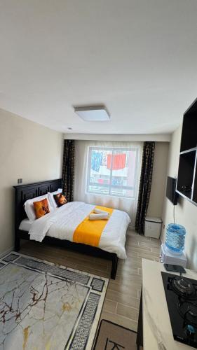 a bedroom with a large bed and a window at Nene Homes in Marimbeti
