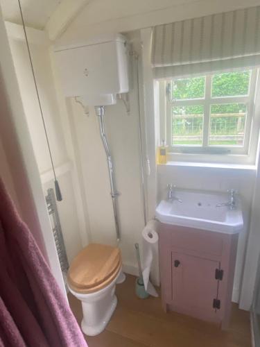 a bathroom with a toilet and a sink and a window at Hornbeam Holt in Broadway