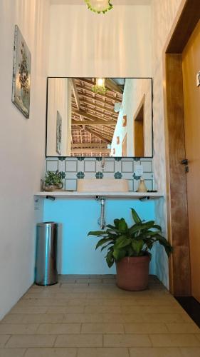 a bathroom with a sink and a potted plant at Reserva Cambucá - Afeto, Pessoas e Sabores in Itirapina