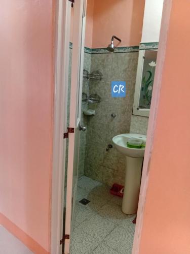 a bathroom with a toilet and a shower and a sink at Bato transient house in Bato
