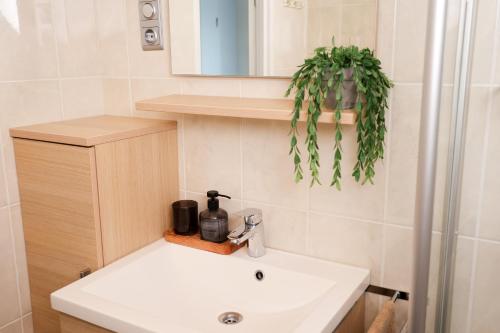 a bathroom with a white sink and a plant at Sfeervol Boschalet 5 persoons met Sauna in Voorthuizen