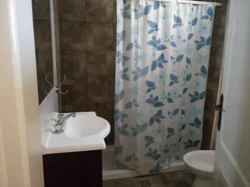 baño con lavabo y cortina de ducha en Departamentos Los Tamariscos en Santa Clara del Mar