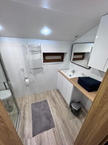 a small bathroom with a sink and a mirror at Jaromierz Dom nad jeziorem in Jaromierz