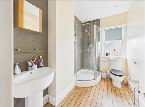 a bathroom with a shower and a sink and a toilet at Lake District Gate in Lancaster