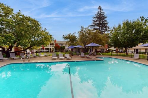 a large swimming pool with chairs and umbrellas at Silverado Resort and Spa 267 in Napa