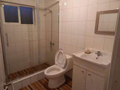 a bathroom with a shower and a toilet and a sink at cabañas los treiles in Cumpeu