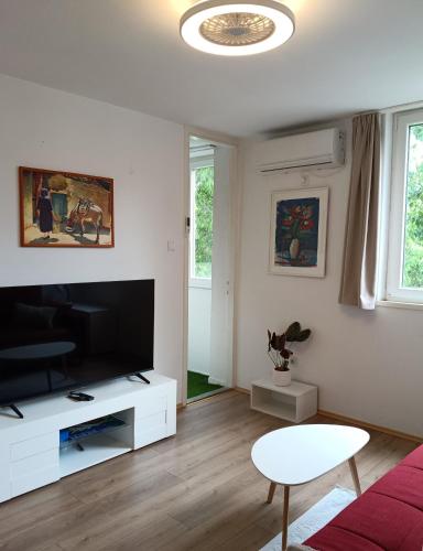 DeMass Apartment - Cozy, Free Parking and WiFi