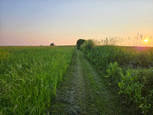 a dirt road in the middle of a field at Peaceful Pasture Farm in Fort Edward