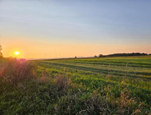 a field with the sun setting in the horizon at Peaceful Pasture Farm in Fort Edward